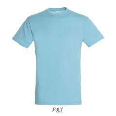 REGENT-UNI TSHIRT-150g, Cotton, Atoll, TWIN, XXS