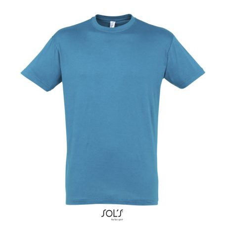 REGENT-UNI TSHIRT-150g, Cotton, Aqua, TWIN, L