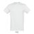 REGENT-UNI TSHIRT-150g, Cotton, ash, TWIN, L