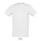 REGENT-UNI TSHIRT-150g, Cotton, ash, TWIN, XL