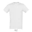 REGENT-UNI TSHIRT-150g, Cotton, ash, TWIN, XL