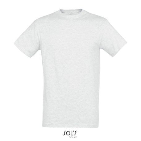 REGENT-UNI TSHIRT-150g, Cotton, ash, TWIN, XXL