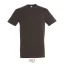 REGENT-UNI TSHIRT-150g, Cotton, Chocolate, TWIN, M