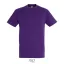 REGENT-UNI TSHIRT-150g, Cotton, Daffodil Yellow, TWIN, M
