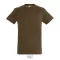 REGENT-UNI TSHIRT-150g, Cotton, Earth, TWIN, M