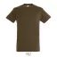 REGENT-UNI TSHIRT-150g, Cotton, Earth, TWIN, M