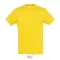 REGENT-UNI TSHIRT-150g, Cotton, Gold, TWIN, M