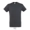 REGENT-UNI TSHIRT-150g, Cotton, Mouse Grey, TWIN, L