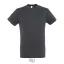 REGENT-UNI TSHIRT-150g, Cotton, Mouse Grey, TWIN, XL