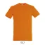 REGENT-UNI TSHIRT-150g, Cotton, orange, TWIN, L