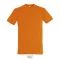 REGENT-UNI TSHIRT-150g, Cotton, orange, TWIN, XL