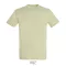 REGENT-UNI TSHIRT-150g, Cotton, Soft Green, TWIN, XL