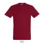 REGENT-UNI TSHIRT-150g, Cotton, Tan, TWIN, L