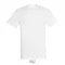 REGENT-UNI TSHIRT-150g, Cotton, white, TWIN, L