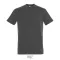 IMPERIAL-MEN TSHIRT-190g, Cotton, Dark Grey, TWIN, L