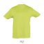 REGENT-KIDS TSHIRT-150g, Cotton, Apple Green, MALE, XXL