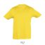 REGENT-KIDS TSHIRT-150g, Cotton, Gold, MALE, XXL