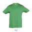 REGENT-KIDS TSHIRT-150g, Cotton, kelly green, MALE, XXL