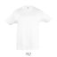 REGENT-KIDS TSHIRT-150g, Cotton, white, MALE, XXL