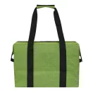 Geanta termoizolanta, 2509E14333, Everestus, 56x19x44 cm, Poliester, PVC, Verde