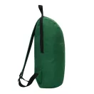 Rucsac sport casual, 2502E16224, Everestus, 27 x13.5 x 43 cm, Poliester, Verde