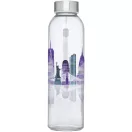 Sticla de apa 500 ml, Everestus, 2601E12840, 22.1xØ6.3 cm, Sticla, Neopren, Otel, Gri