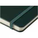Agenda A4, Dictando, 2410E24369, JournalBooks, 29.8 x 1.5 x 20.9 cm, Hartie, Verde
