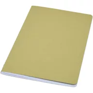   Agenda, 21MAR2093, 20.5x12.3 cm, 80 file, A5, Dictando, Coperta standard, Everestus, Hartie, Verde