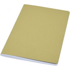   Agenda, 21MAR2093, 20.5x12.3 cm, 80 file, A5, Dictando, Coperta standard, Everestus, Hartie, Verde