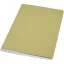 Agenda, 21MAR2093, 20.5x12.3 cm, 80 file, A5, Dictando, Coperta standard, Everestus, Hartie, Verde