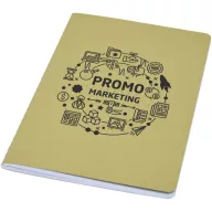   Agenda, 21MAR2093, 20.5x12.3 cm, 80 file, A5, Dictando, Coperta standard, Everestus, Hartie, Verde