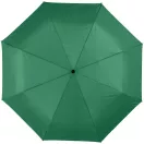 Umbrela 21.5 inch pliabila, cu deschidere si inchidere automata, Everestus, AX, poliester, verde