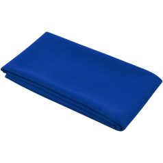   Prosop fitness, 2502E14099, ENB, 80 x 30 cm, Poliester, Albastru royal