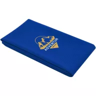   Prosop fitness, 2502E14104, ENB, 100 x 50 cm, Poliester, Albastru royal