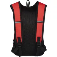  Rucsac sport casual, Everestus, 42FEB232305, 22x8.5x36 cm, Poliester, Rosu