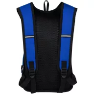   Rucsac sport casual, Everestus, 42FEB232307, 22x8.5x36 cm, Poliester, Albastru Royal
