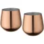 Set 2 cesti, Everestus, 2610E19412, 540 ml, 9.8x5.5x7.6 cm, Otel inoxidabil, Roz Rosegold
