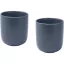 Set 2 cani, 200 ml, 2509E14777, Seasons, 9.3x8.2x8.2 cm, Ceramica, Albastru hale