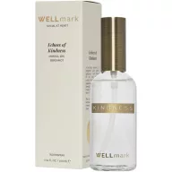   Spray de camera, 100 ml, Wellmark, 2601E13302, 4.6x15x4.6 cm, Sticla, Transparent
