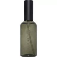   Spray de camera, 100 ml, Wellmark, 2601E13304, 4.6x15x4.6 cm, Sticla, Negru