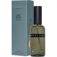   Spray de camera, 100 ml, Wellmark, 2601E13304, 4.6x15x4.6 cm, Sticla, Negru