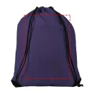 Oriole premium drawstring backpack, 210D Polyester, Purple
