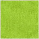 Nanaimo short sleeve women's T-shirt, Female, Single Jersey knit of 100% ringspun combed Cotton, Apple Green, S