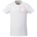 Balfour short sleeve men's organic t-shirt, Male, Single Jersey knit of 95% organic ringspun Cotton and 5% Elastane, White, S