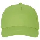 Feniks 5 panel cap, Unisex, 100% Cotton twill, Apple Green