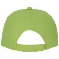 Feniks 5 panel cap, Unisex, 100% Cotton twill, Apple Green