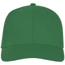 Ares 6 panel cap, Unisex, 100% Cotton twill, Fern green  