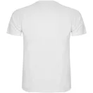 Tricou la baza gatului cu maneca scurta, Copii, Roly, 2601E10358, Poliester, Alb