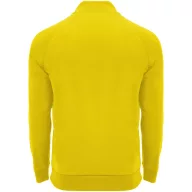   Tricou cu maneca lunga, la baza gatului, Casual, Barbati, Roly, 2410E19022, Poliester, Galben