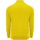Tricou cu maneca lunga, la baza gatului, Casual, Barbati, Roly, 2410E19023, Poliester, Galben